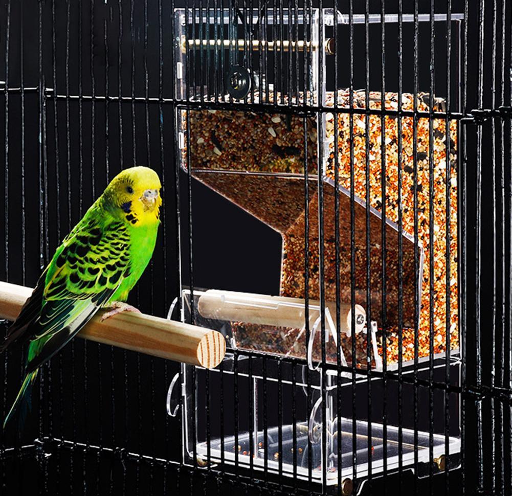 Rating of the best drinkers and feeders for parrots for 2025