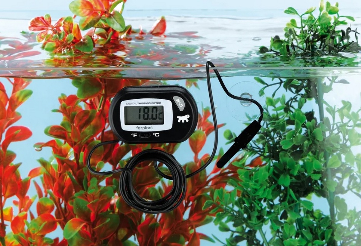 Rating of the best thermometers for aquariums for 2025