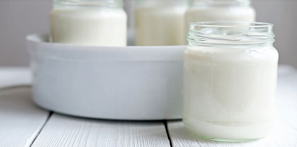 Rating of the best Russian yogurt producers for 2025