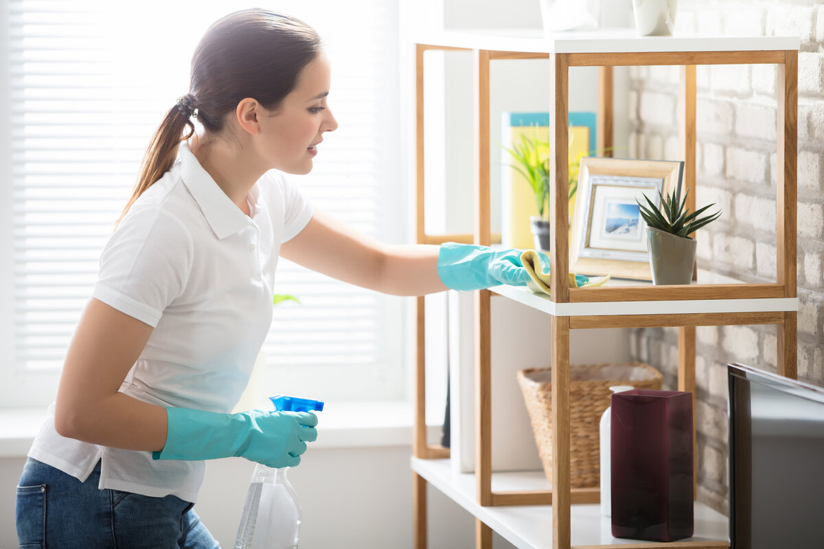 Ranking the best dust removers for 2025